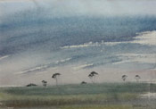Gail van Lingen